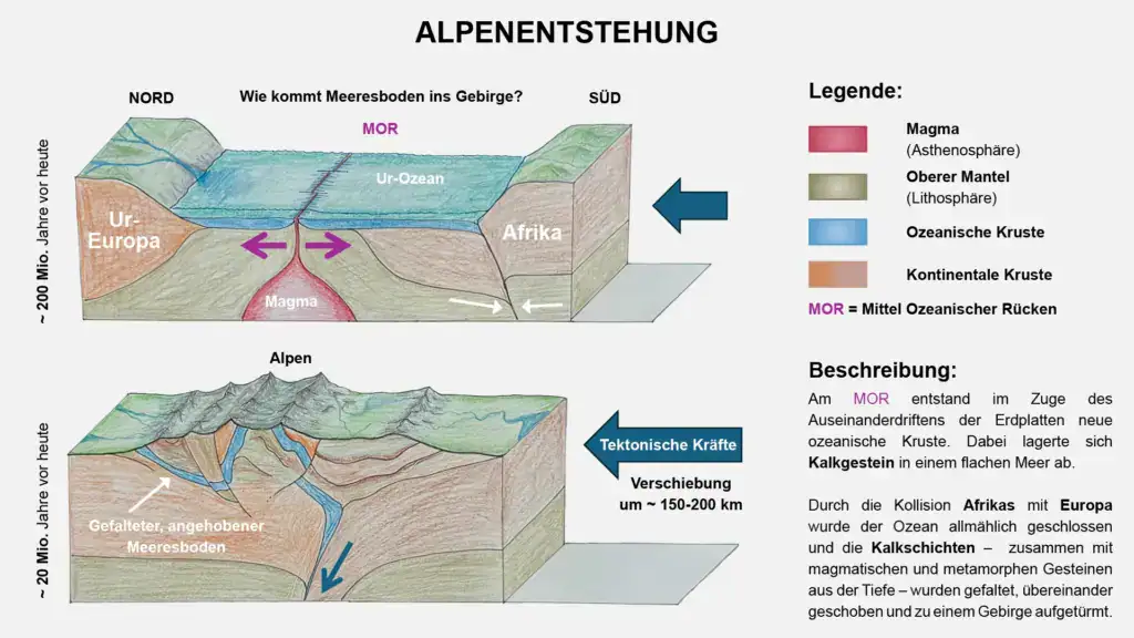 Diagramm zur Entstehung der Alpen durch Plattentektonik.
