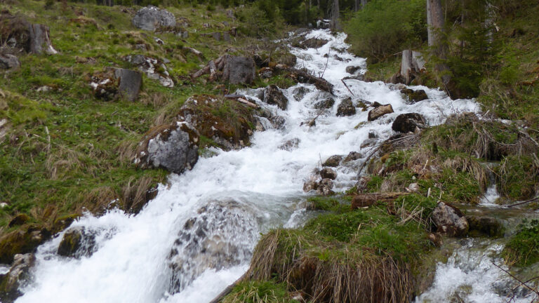 Kleiner Wasserfall im Wald mit Steinen und Moos.