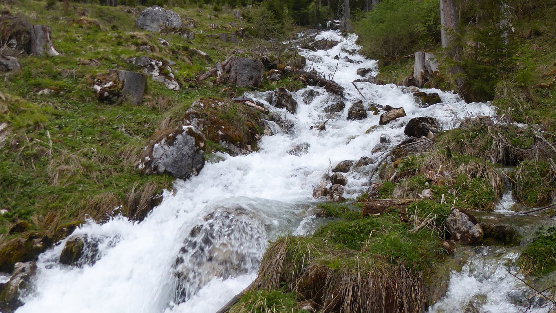 Kleiner Wasserfall im Wald mit Steinen und Moos.