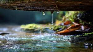 Tropfendes Wasser über fließendem Bach im Wald.