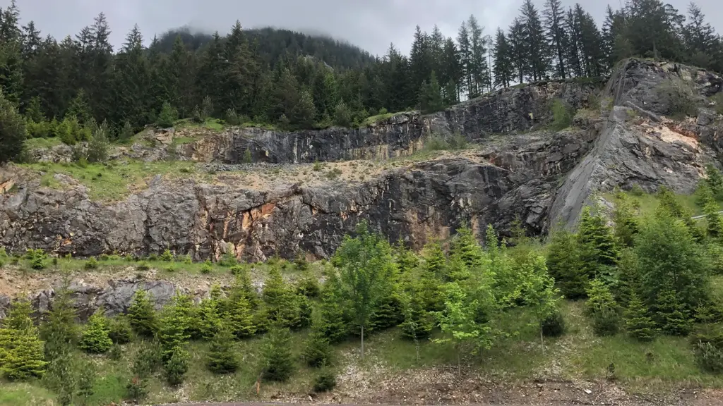 Felsen und Bäume in bewaldetem Gebiet