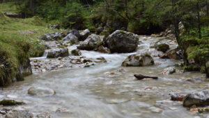 Fließender Bach im Wald mit Steinen.